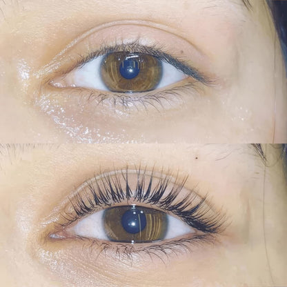 Icon Lash Lift Kit
